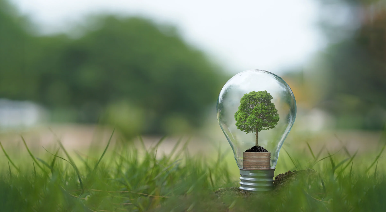 Inwestycje OZE po nowelizacji ustawy o planowaniu i zagospodarowaniu przestrzennym